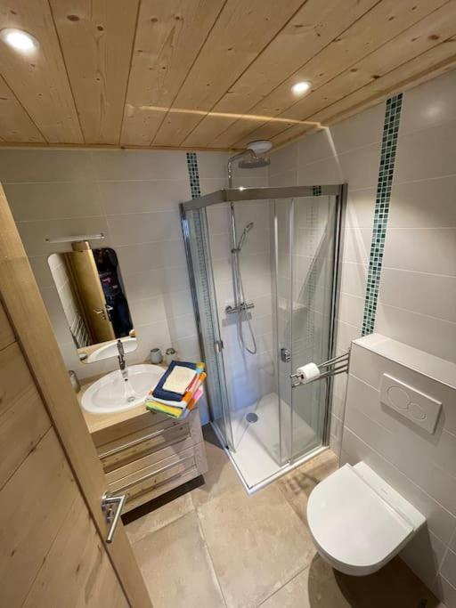 Apartment Au Balcon De Passy/plaine Joux, Classe 2 **